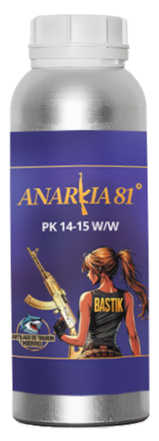 Anarkia81 BASTIK