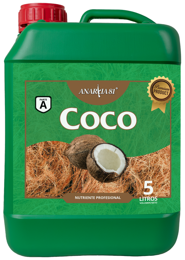 Anarkia81 COCO A