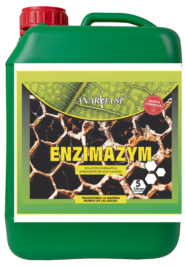Anarkia81 ENZYMACYM