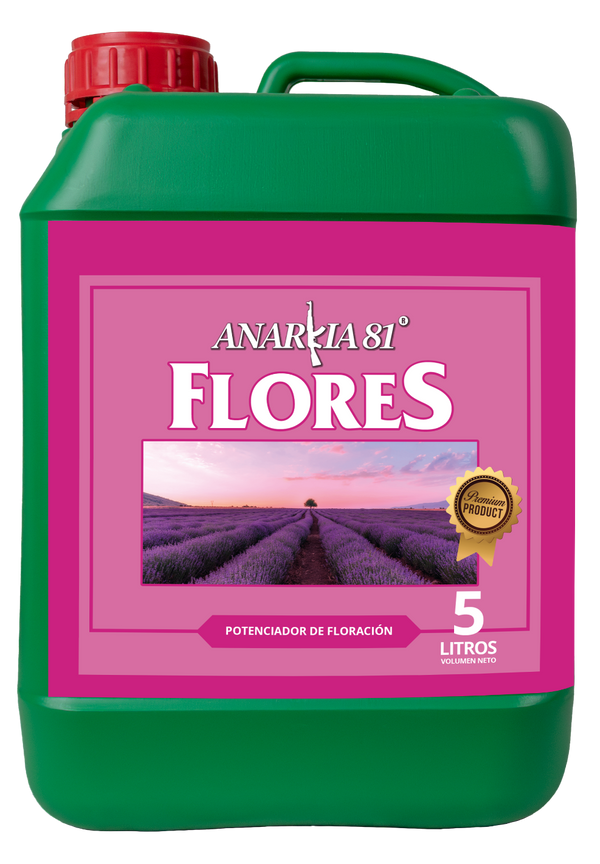 Anarkia81 FLORES