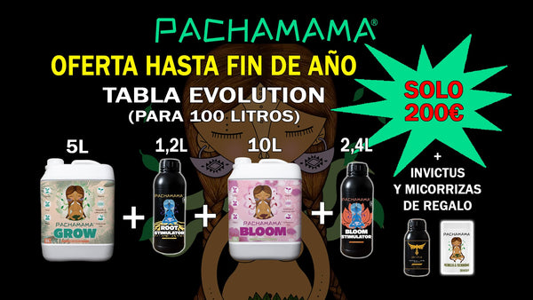 Pack fin de año TABLA EVOLUTION 100L
