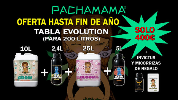Pack fin de año TABLA EVOLUTION 200L