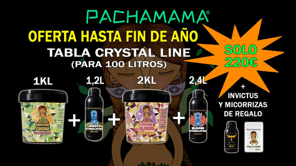 Pack fin de año TABLA CRYSTAL LINE 100L