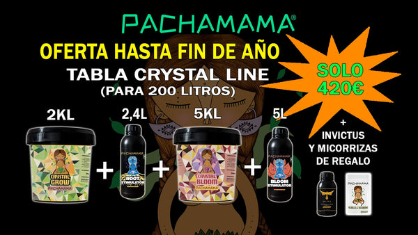 Pack fin de año TABLA CRYSTAL LINE 200L