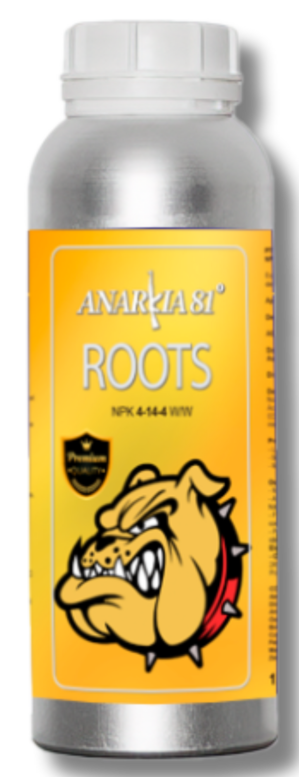 Anarkia81 ROOTS
