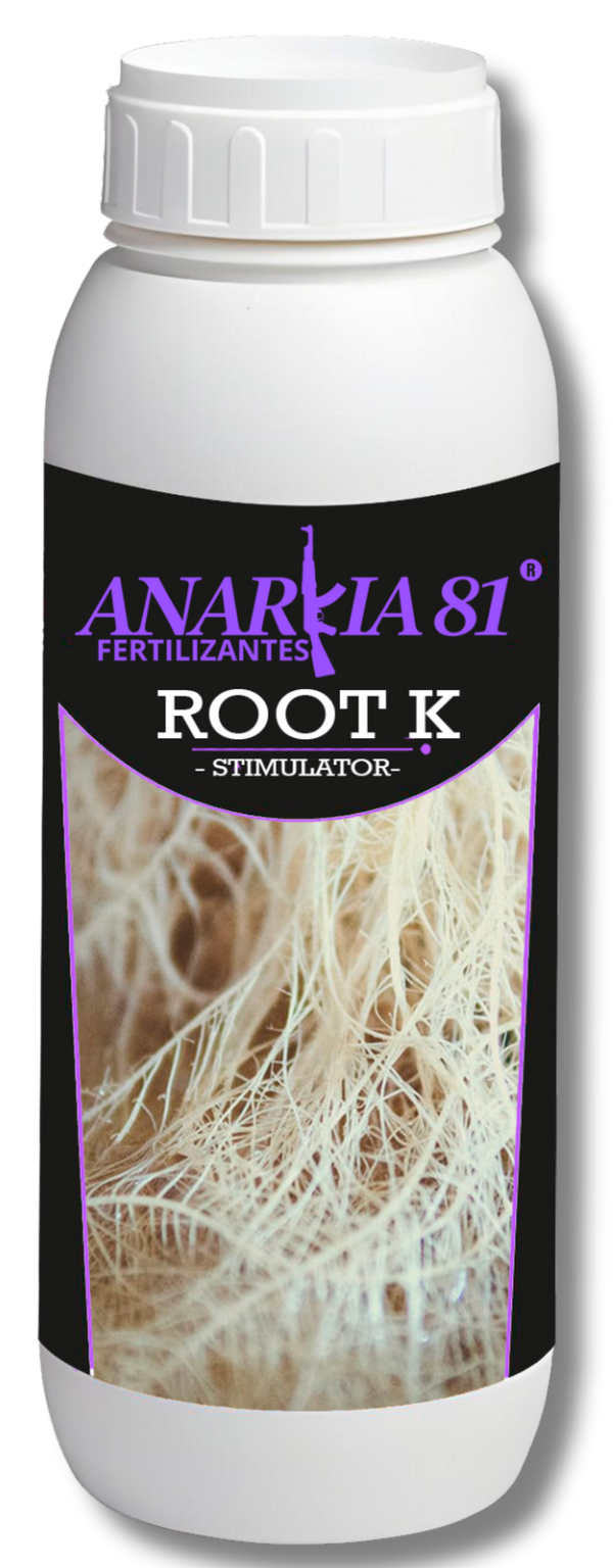 Anarkia81 ROOT K