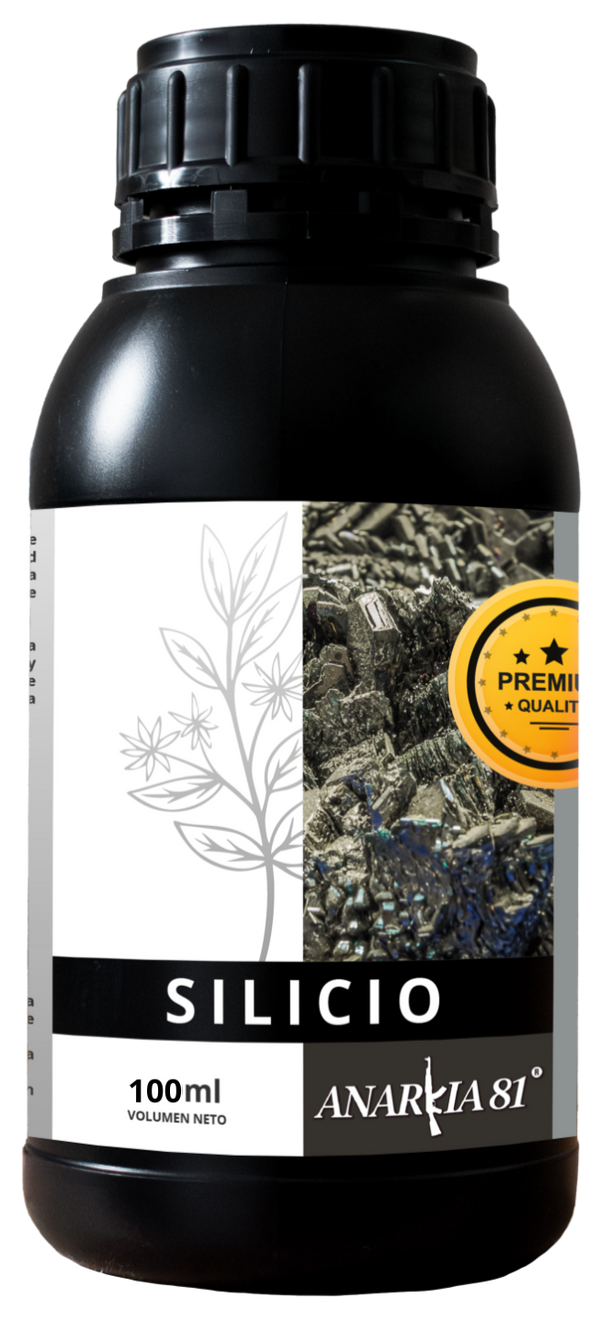 Anarkia81 SILICIO
